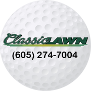 Classic Lawn
